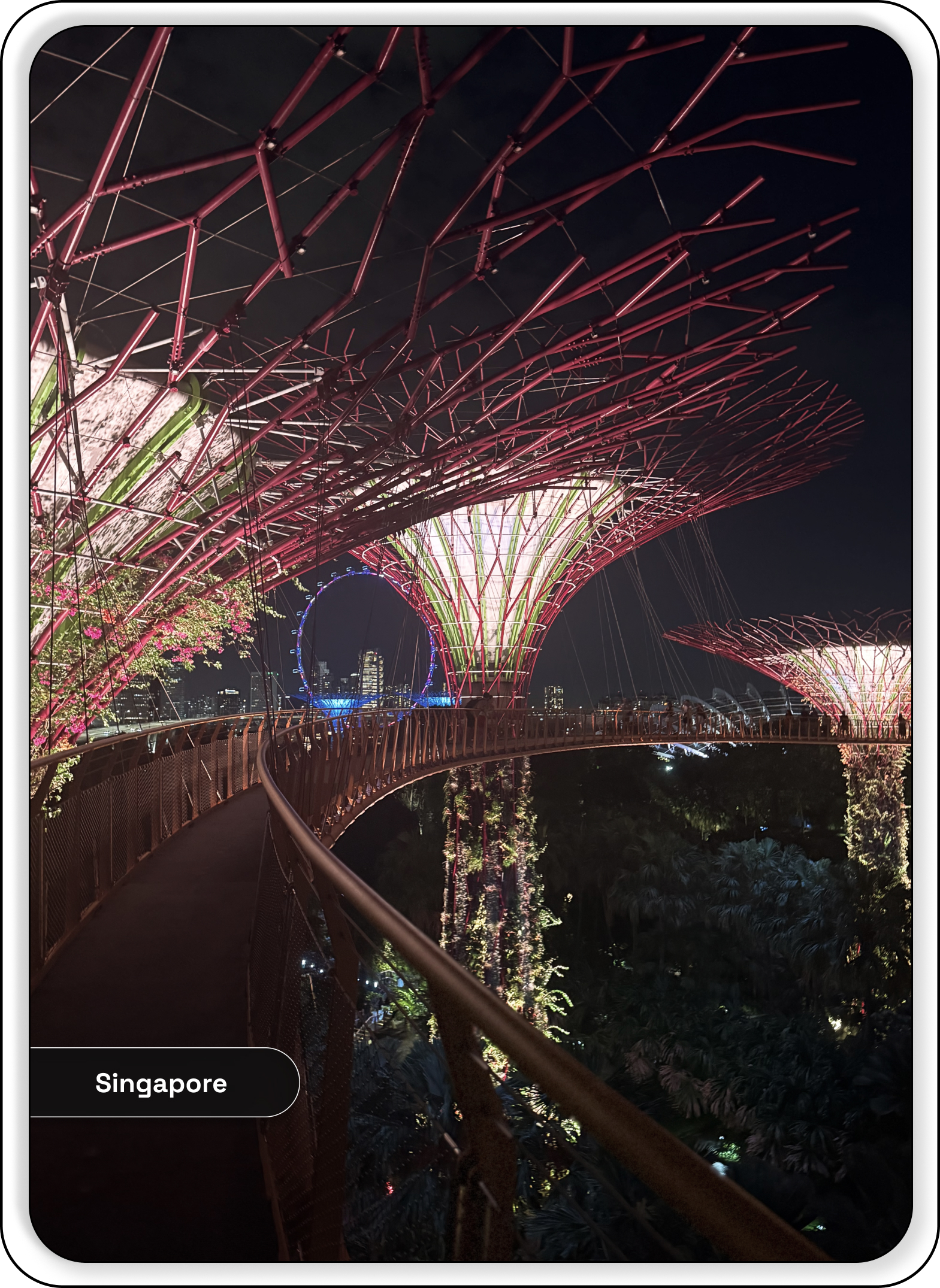 Supertree Grove walkway, Singapore
