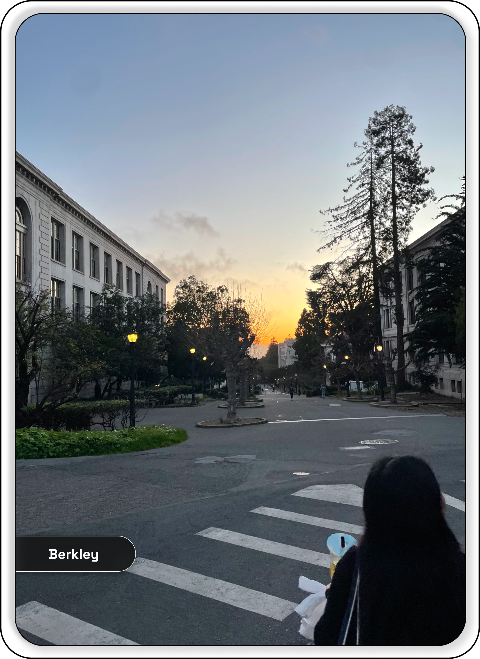 Sunset on the Berkeley campus